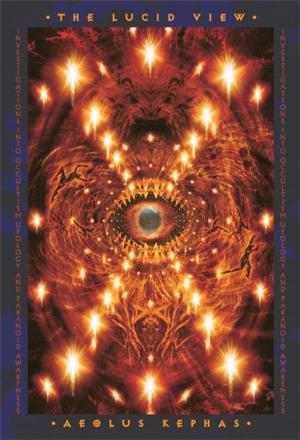 Cover of the book The Lucid View by Boirayon Marius