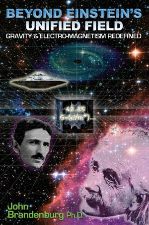 Cover of the book Beyond Einstein's Unified Field by Axel Balthazar