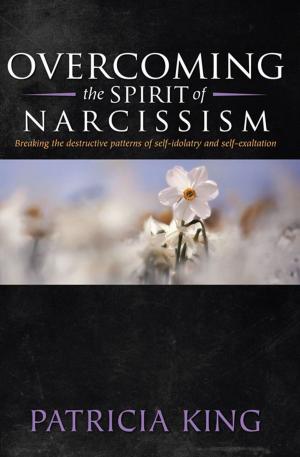 Cover of the book Overcoming the spirit of Narcissism by Steve Copland