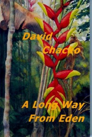 Cover of the book A Long Way From Eden by David Crane