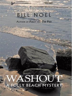 Cover of the book Washout by S.M. Martins