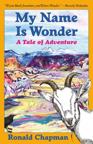 Cover of the book My Name Is Wonder by Donald Willerton