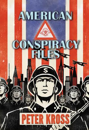 Cover of the book American Conspiracy Files by John Brandenburg, Ph.D.