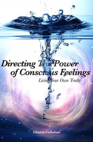 Cover of the book Directing The Power of Conscious Feelings by Mevlana Celaleddin Rumi