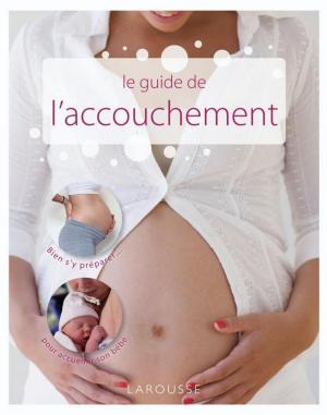 Cover of the book Le guide de l'accouchement by Emilie Gillet