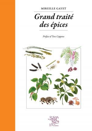 Cover of the book Grand traité des Épices by Kenji Tokitsu