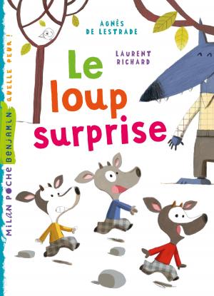 Cover of the book Le loup surprise by Paul Stewart, Amélie Sarn