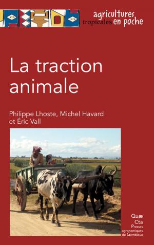 Cover of the book La traction animale by Marion Bardy, Laëtitia Citeau, Dominique King, Antonio Bispo