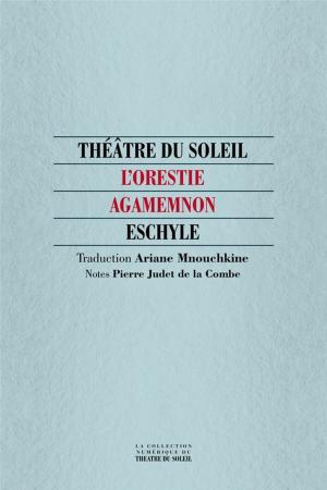 Cover of the book Agamemnon by Philippe Cardona, Fabien Fournier