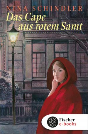 Cover of the book Das Cape aus rotem Samt by T.R. Burns