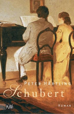 Book cover of Schubert