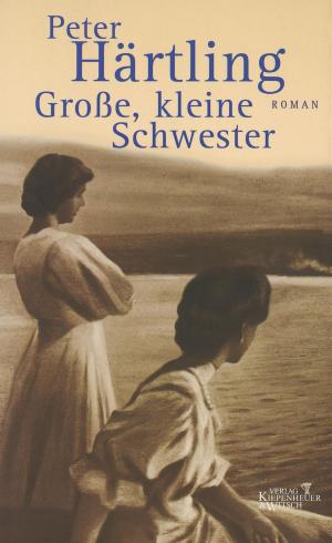 Book cover of Grosse, kleine Schwester