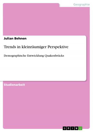 Cover of the book Trends in kleinräumiger Perspektive by Katharina Korff