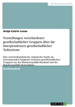 Cover of the book Vorstellungen verschiedener gesellschaftlicher Gruppen über die Interpendenzen gesellschaftlicher Teilsysteme by Stefanie Goder