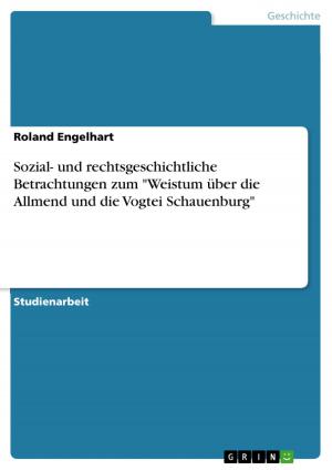Cover of the book Sozial- und rechtsgeschichtliche Betrachtungen zum 'Weistum über die Allmend und die Vogtei Schauenburg' by Michael Dathe