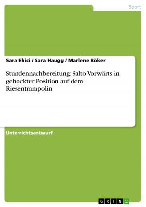 Cover of the book Stundennachbereitung: Salto Vorwärts in gehockter Position auf dem Riesentrampolin by Barbara Walzner