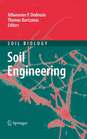 Cover of the book Soil Engineering by Manfred Reichenbächer, Jürgen Popp