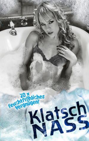 Book cover of Klatsch Nass