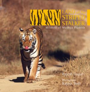Cover of the book Land of the Striped Stalker by Rashmi Doraiswamy