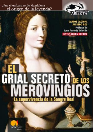 Cover of the book El Grial Secreto de los Merovingios. by Luis E. Íñigo Fernández