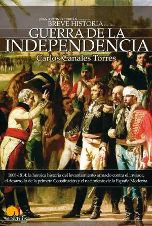 Cover of Breve Historia de la Guerra de Independencia española