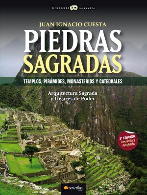 Cover of the book Piedras Sagradas by David Barreras Martínez, Cristina Durán Gómez