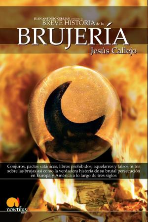 Cover of the book Breve Historia de la Brujería by Rafael Herrera Guillén