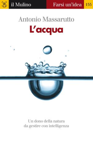 Cover of the book L'acqua by Luigi, Fadiga