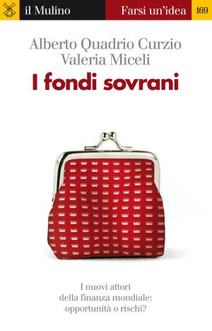 Book cover of I fondi sovrani