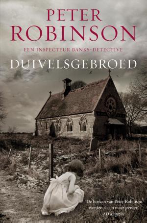 Cover of the book Duivelsgebroed by Mira Kirshenbaum