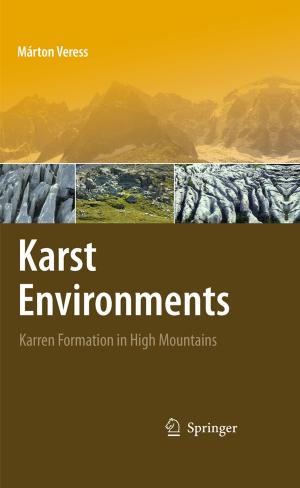 Cover of the book Karst Environments by John Bernard