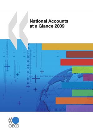 Cover of the book National Accounts at a Glance 2009 by Collective