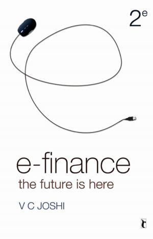Book cover of E-Finance