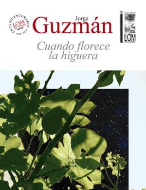 Cover of the book Cuando florece la higuera by Azún Candina