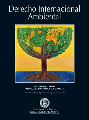 Book cover of Derecho Internacional Ambiental