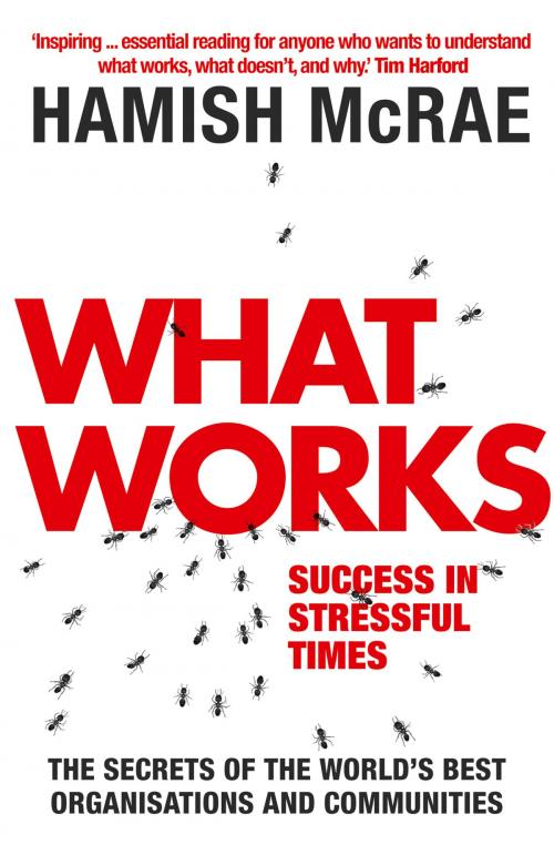 Cover of the book What Works: Success in Stressful Times by Hamish McRae, HarperCollins Publishers