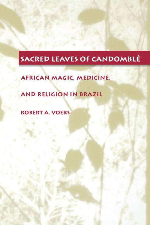 Cover of the book Sacred Leaves of Candomblé by Robert A. Voeks, University of Texas Press