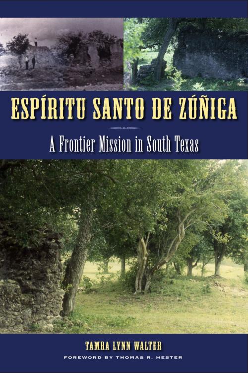 Cover of the book Espíritu Santo de Zúñiga by Tamra Lynn Walter, University of Texas Press