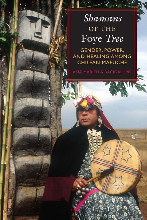 Cover of the book Shamans of the Foye Tree by Ana Mariella Bacigalupo, University of Texas Press