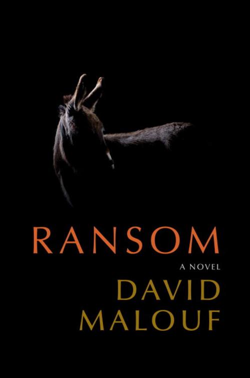 Cover of the book Ransom by David Malouf, Knopf Doubleday Publishing Group