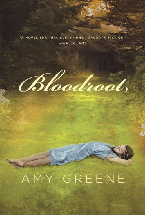 Cover of the book Bloodroot by Amy Greene, Knopf Doubleday Publishing Group