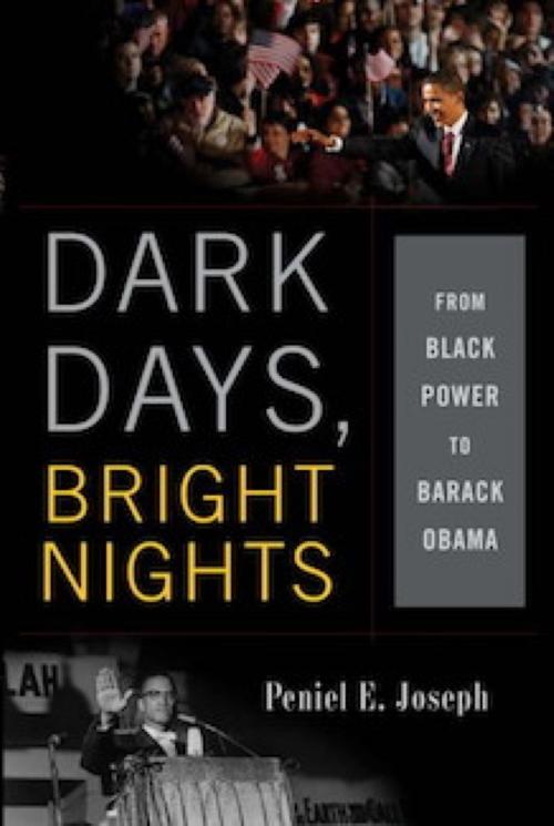 Cover of the book Dark Days, Bright Nights by Peniel E. Joseph, Basic Books