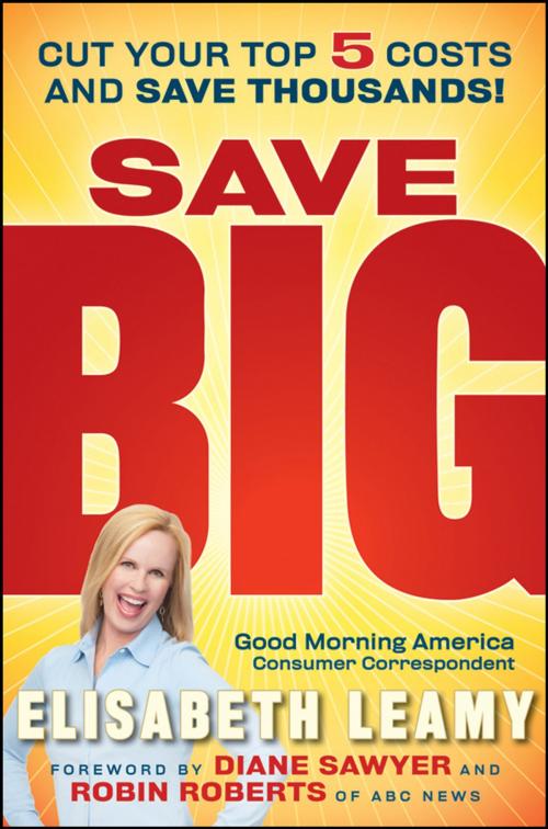 Cover of the book Save Big by Elisabeth Leamy, Wiley