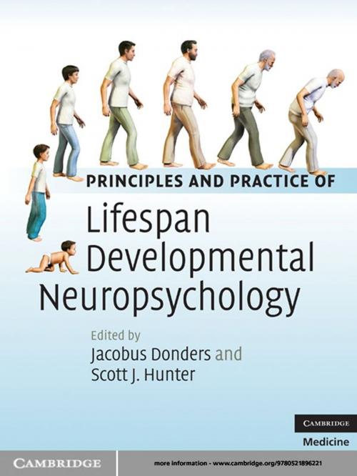 Cover of the book Principles and Practice of Lifespan Developmental Neuropsychology by , Cambridge University Press