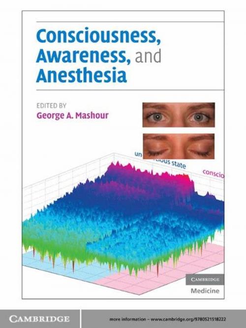 Cover of the book Consciousness, Awareness, and Anesthesia by , Cambridge University Press