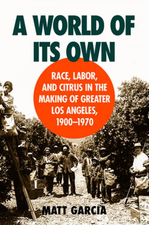 Cover of the book A World of Its Own by Matt Garcia, The University of North Carolina Press