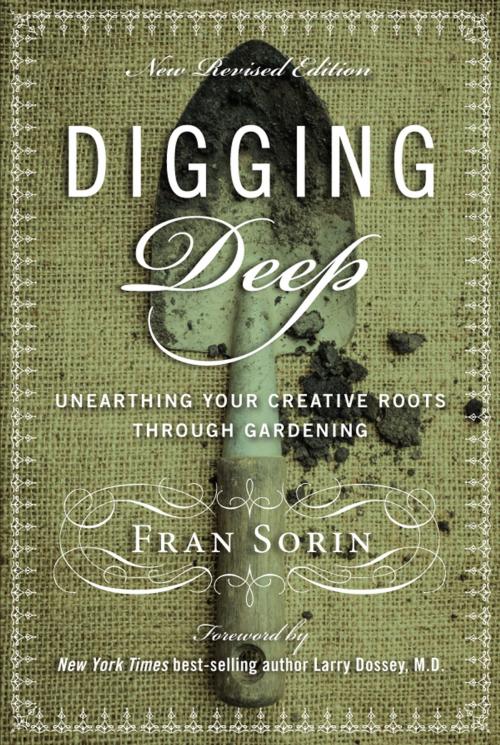 Cover of the book Digging Deep by Fran Sorin, Braided Worlds Publishing