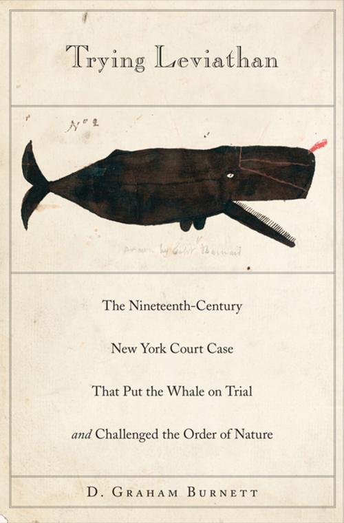 Cover of the book Trying Leviathan by D. Graham Burnett, Princeton University Press