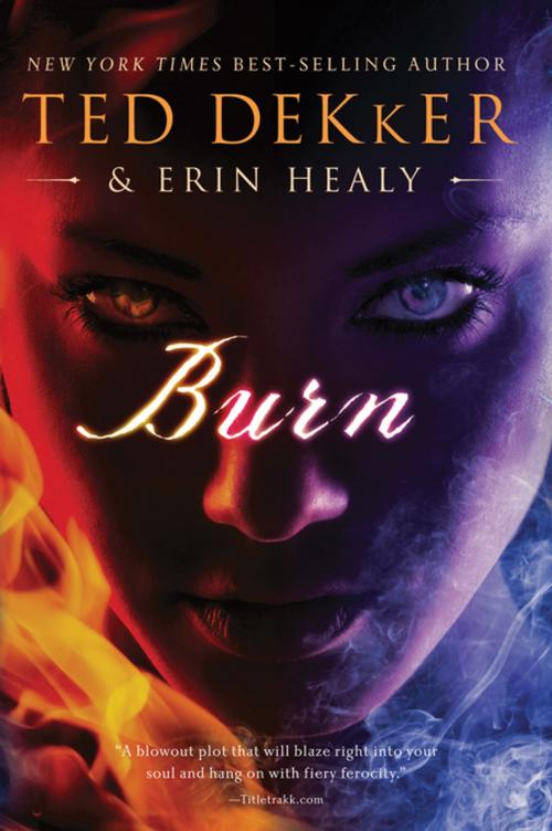 Cover of the book Burn by Ted Dekker, Thomas Nelson