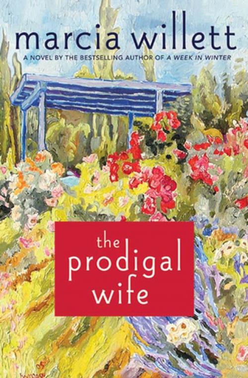 Cover of the book The Prodigal Wife by Marcia Willett, St. Martin's Press